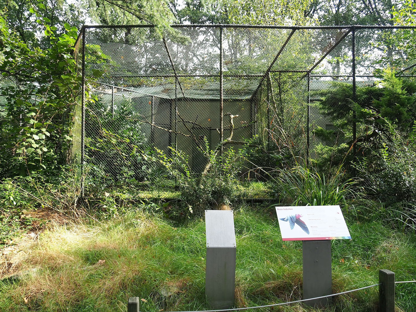 Galah aviary, 2023-10-07