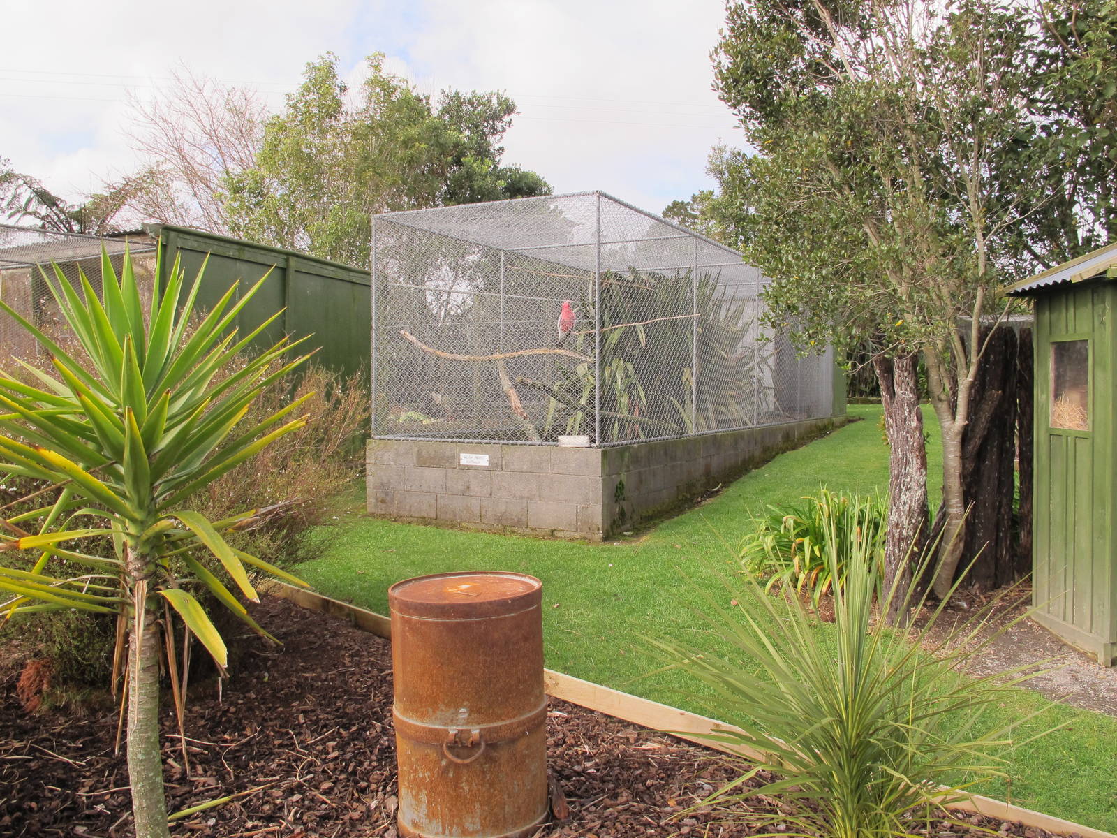 Galah Aviary - Pouakai Zoo