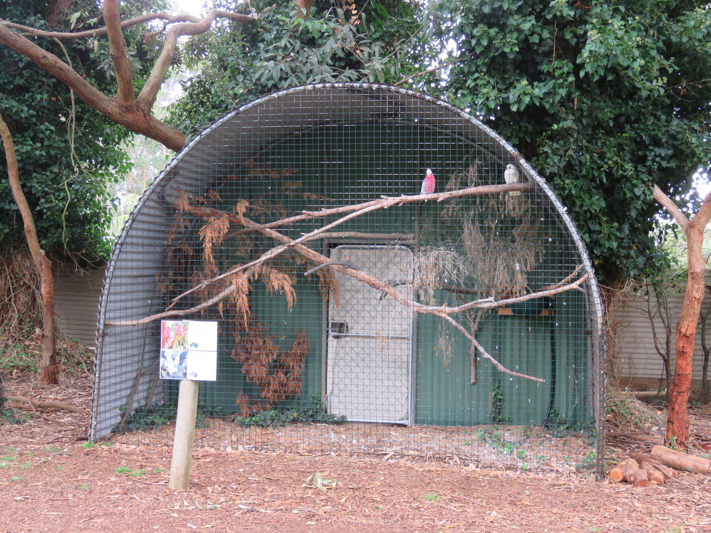 Galah Aviary