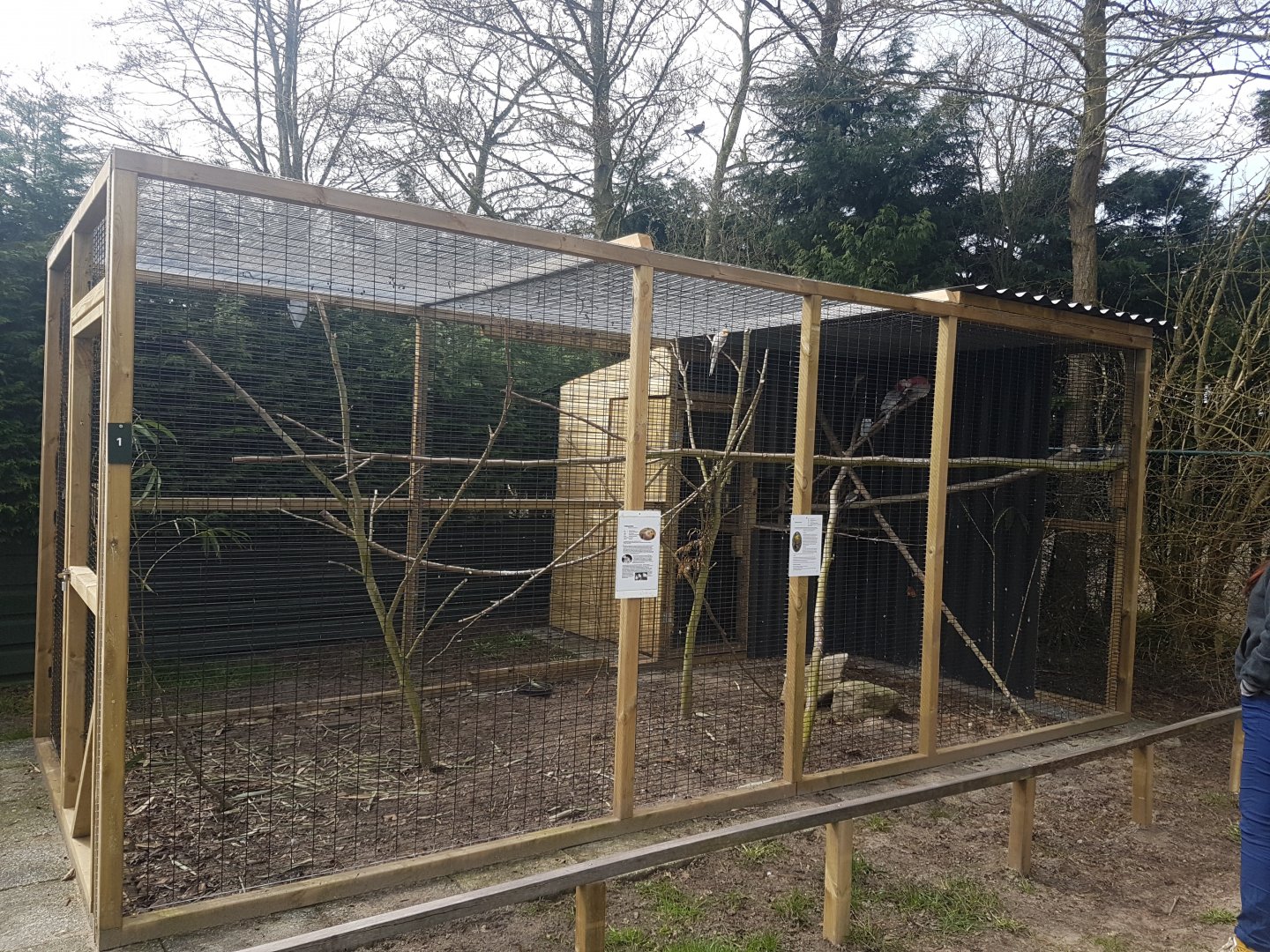 Galah - Cockatail - Regent parrot aviary