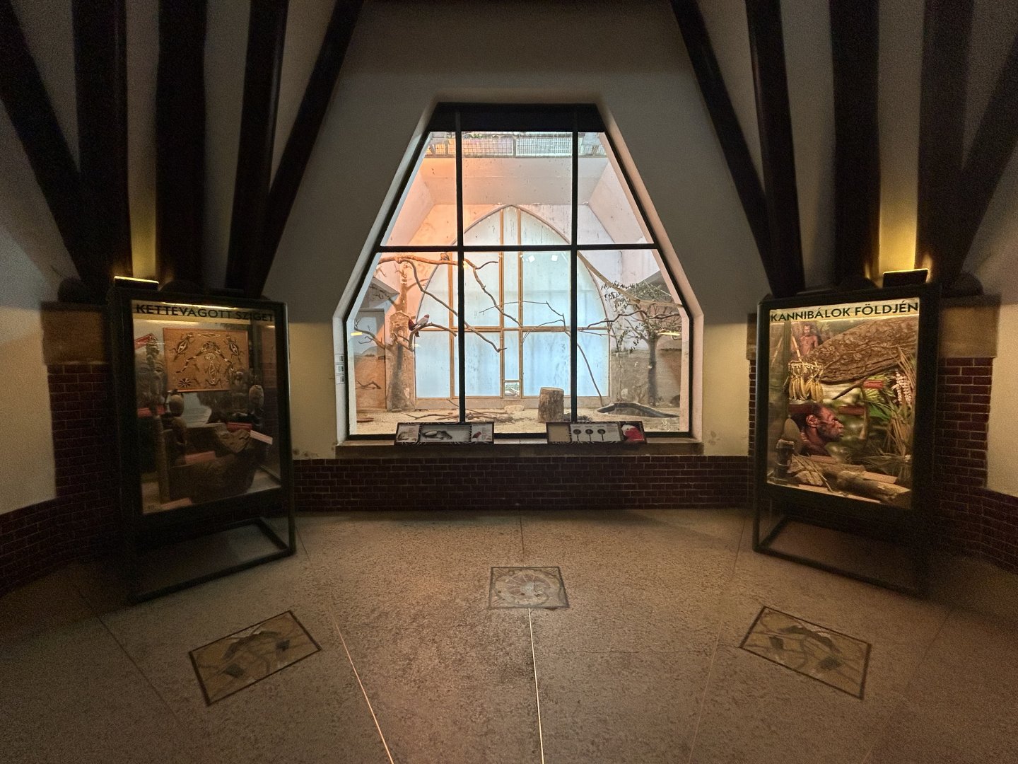 Galah Exhibit - Australia House