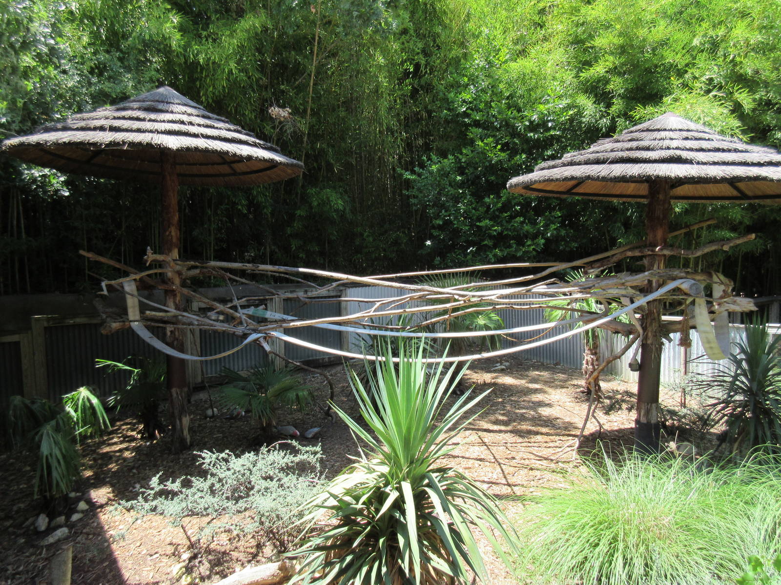 Galah Exhibit (old Koala exhibit)