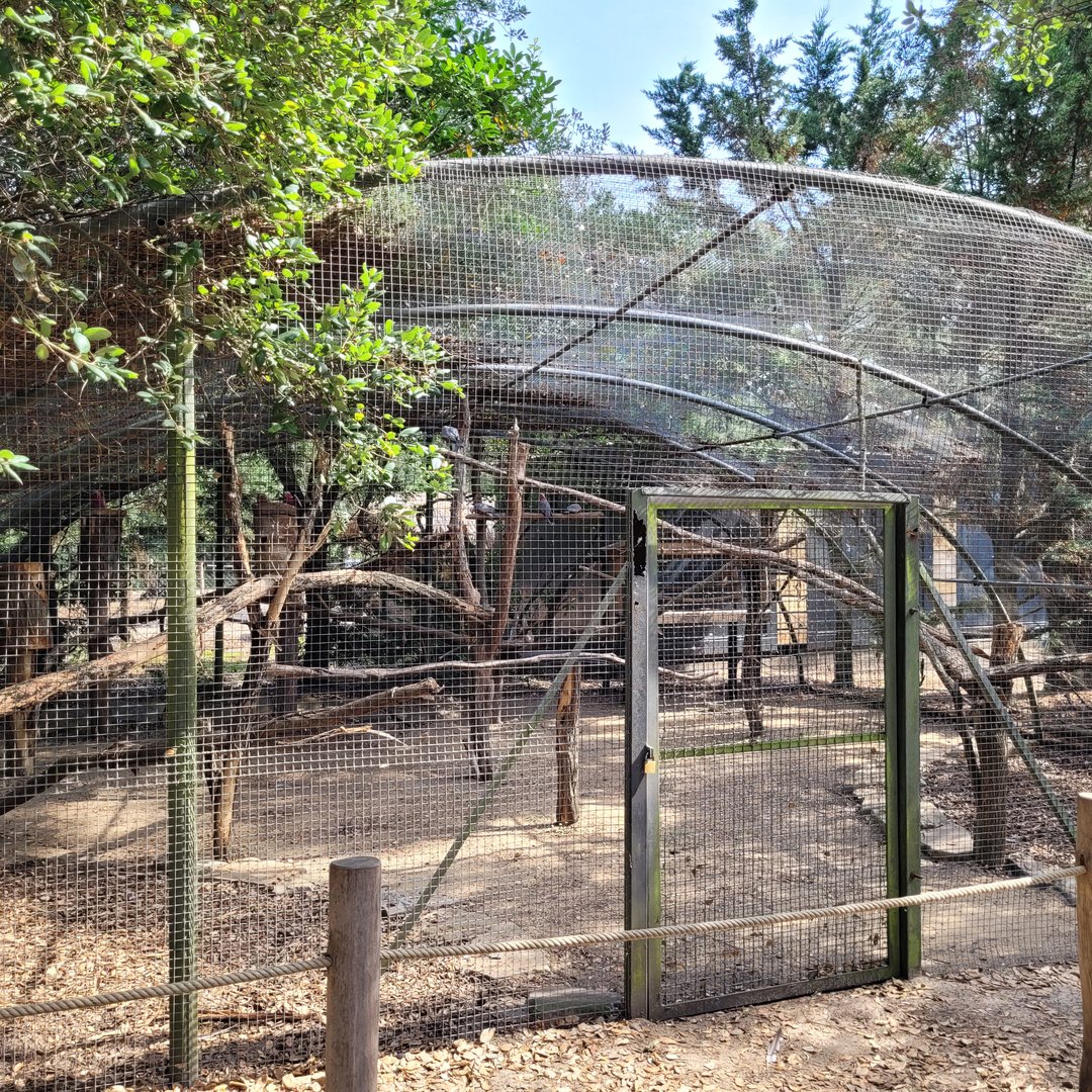Galah exhibit -Zoo de Labenne (2023)