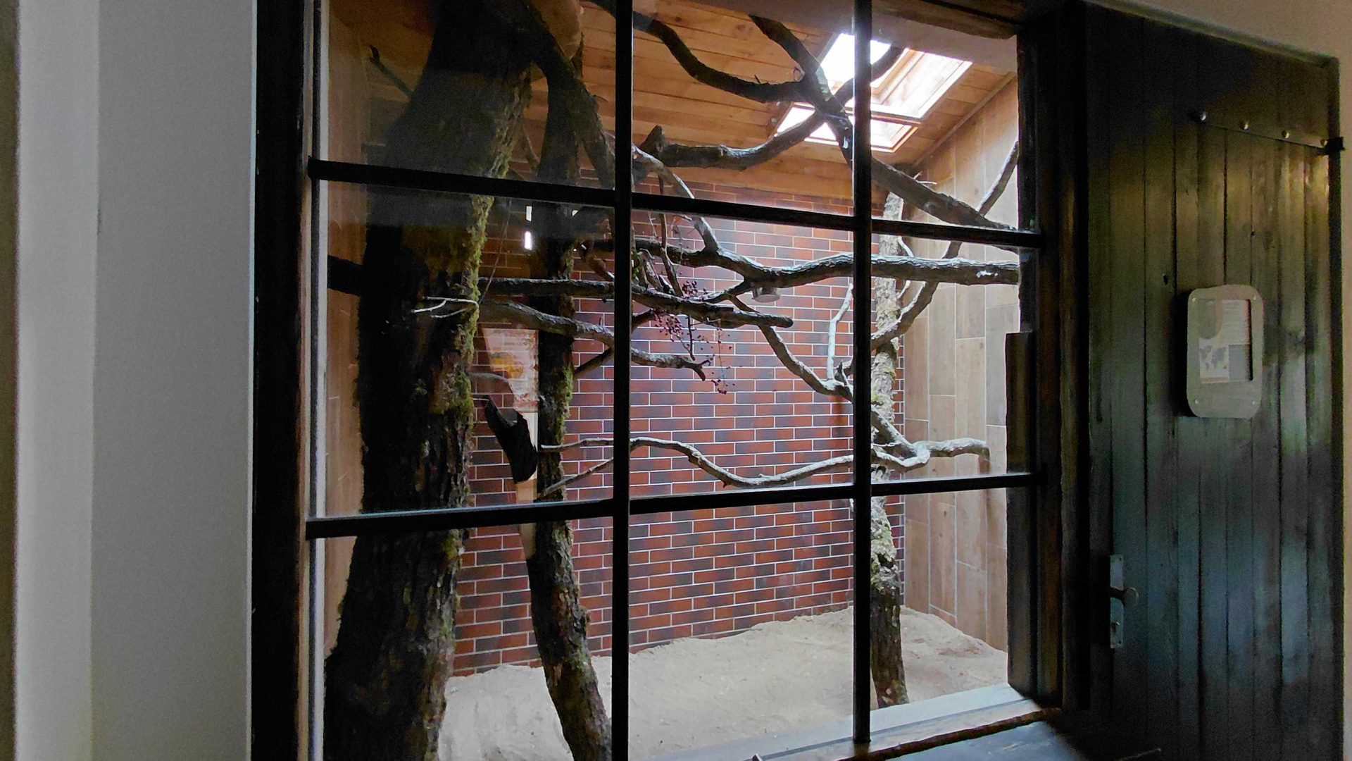 Galah indoor exhibit