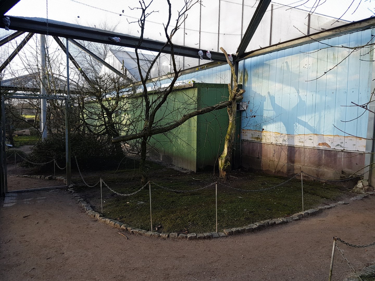 Galah walk-through aviary