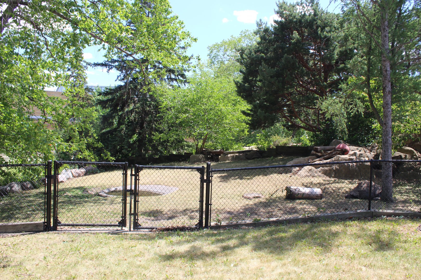 Galaopagos Tortoise Exhibit