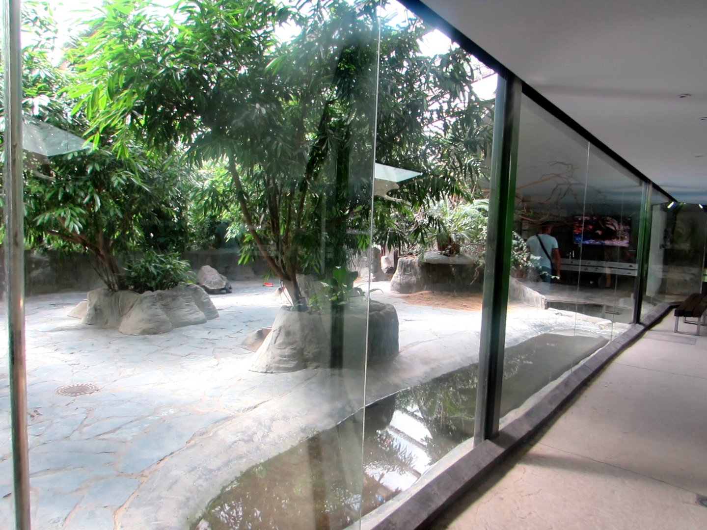 Galapagos and Giant Tortoises indoor exhibit - July/2017