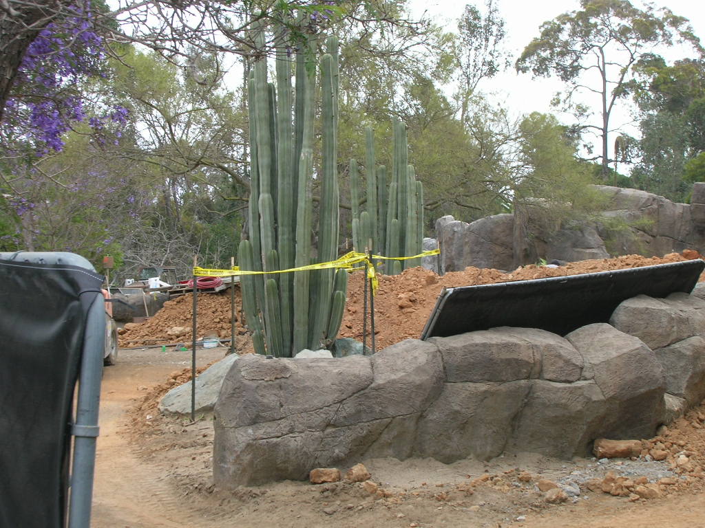 Galapagos Construction 5-17-10