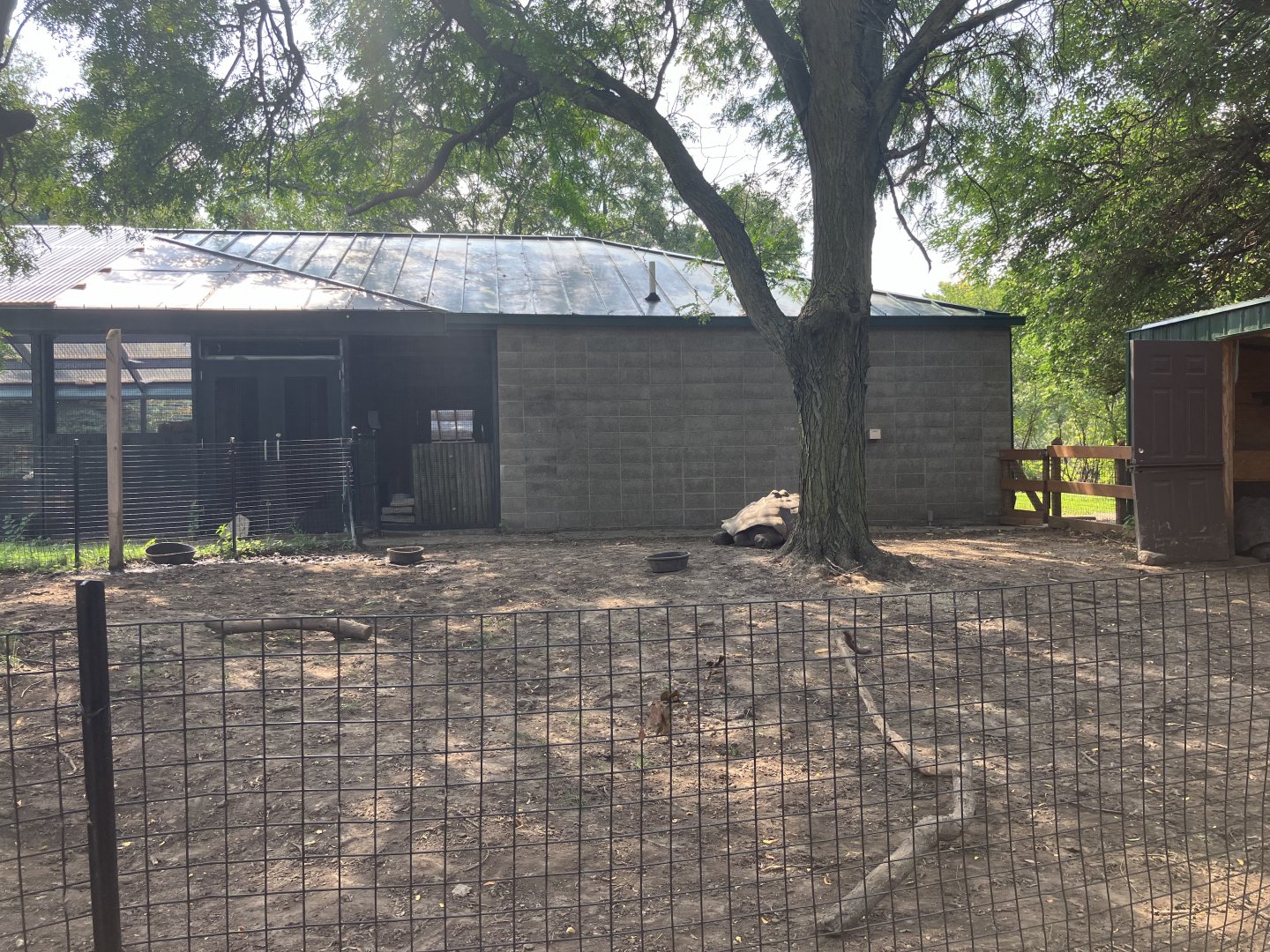 Galapagos - Galapagos Giant Tortoise Exhibit