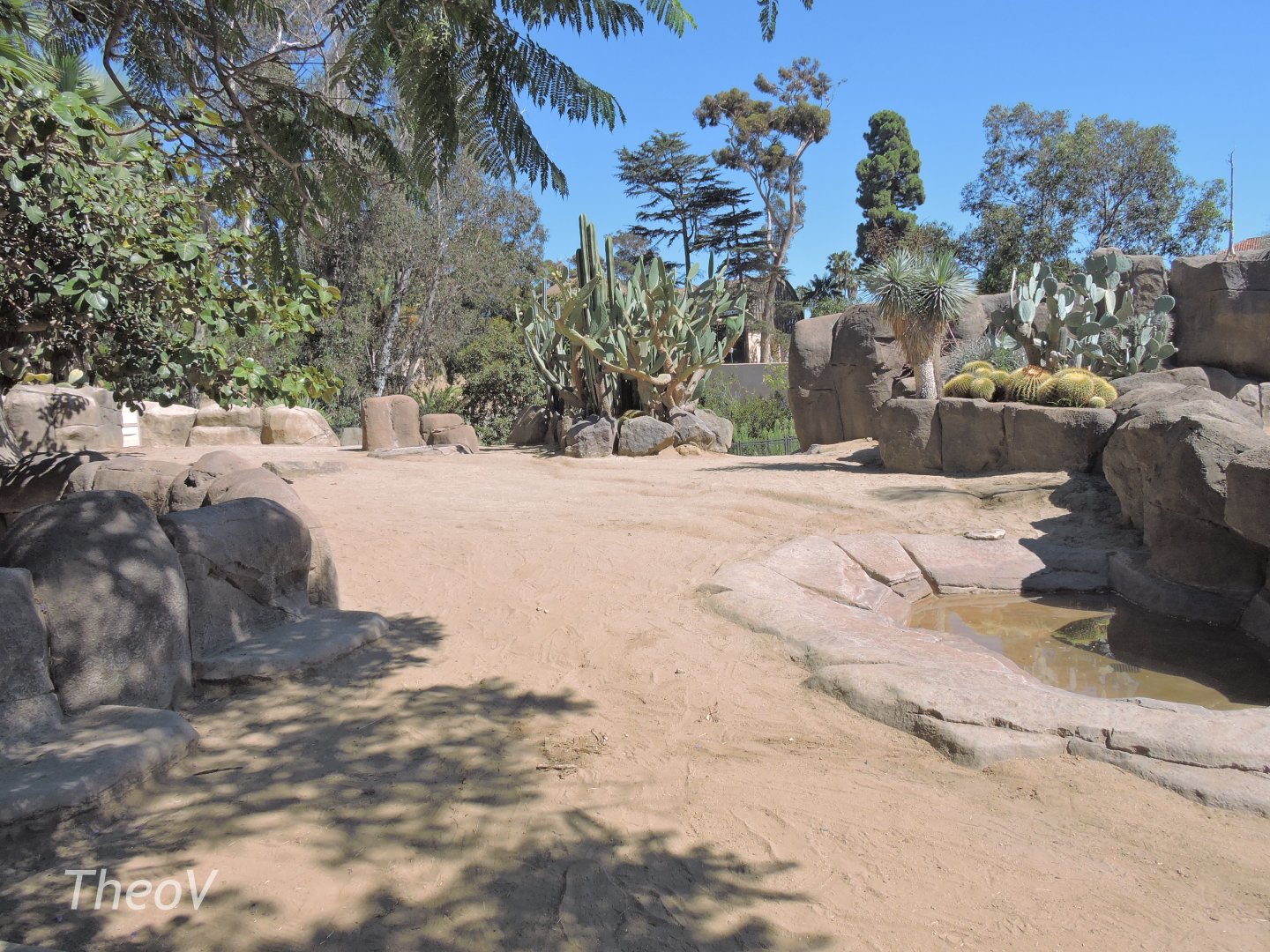 Galápagos giant tortoise exhibit - Discovery Outpost [2015]