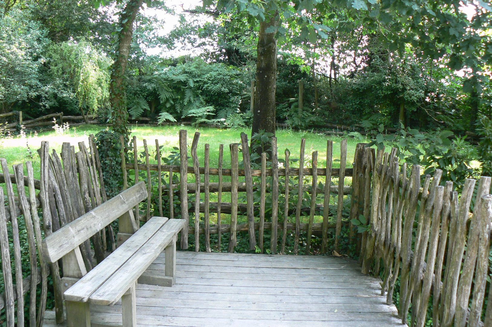 Galapagos giant tortoise exhibit
