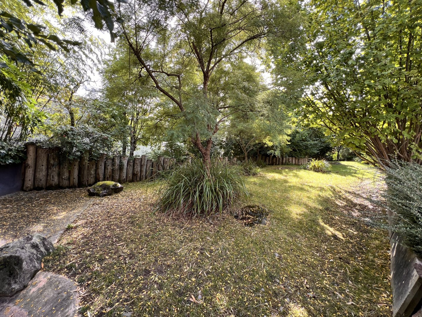 Galapagos Giant Tortoise Outdoor Exhibit