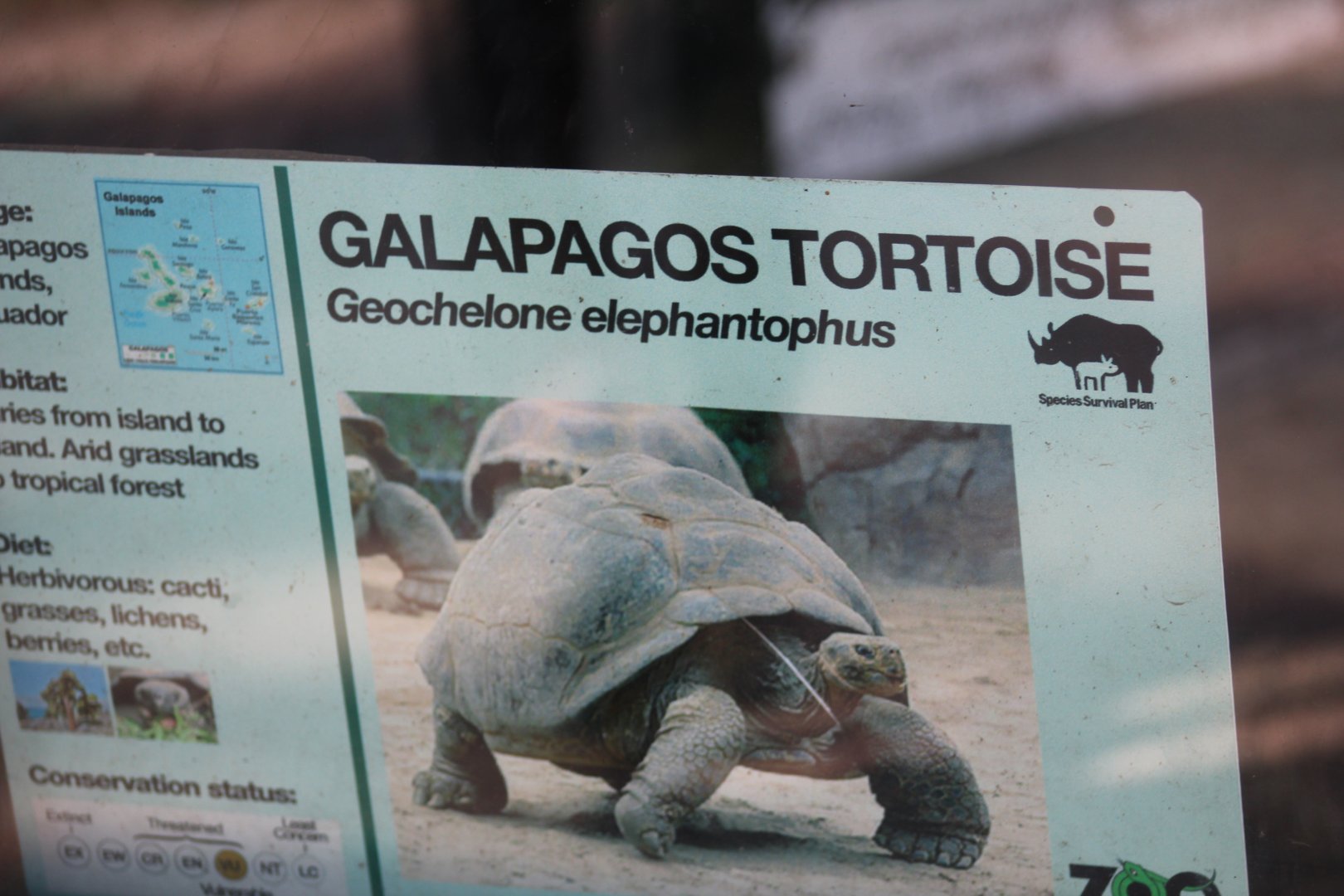Galapagos Giant Tortoise Signage