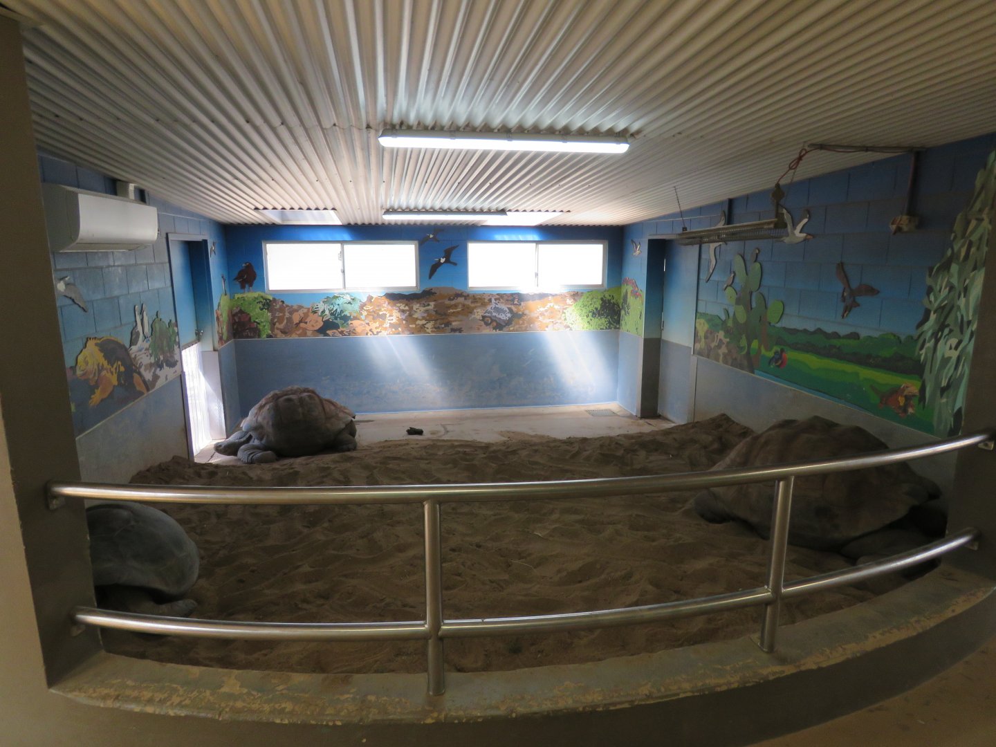 Galapagos Giant Tortoise Viewing Area