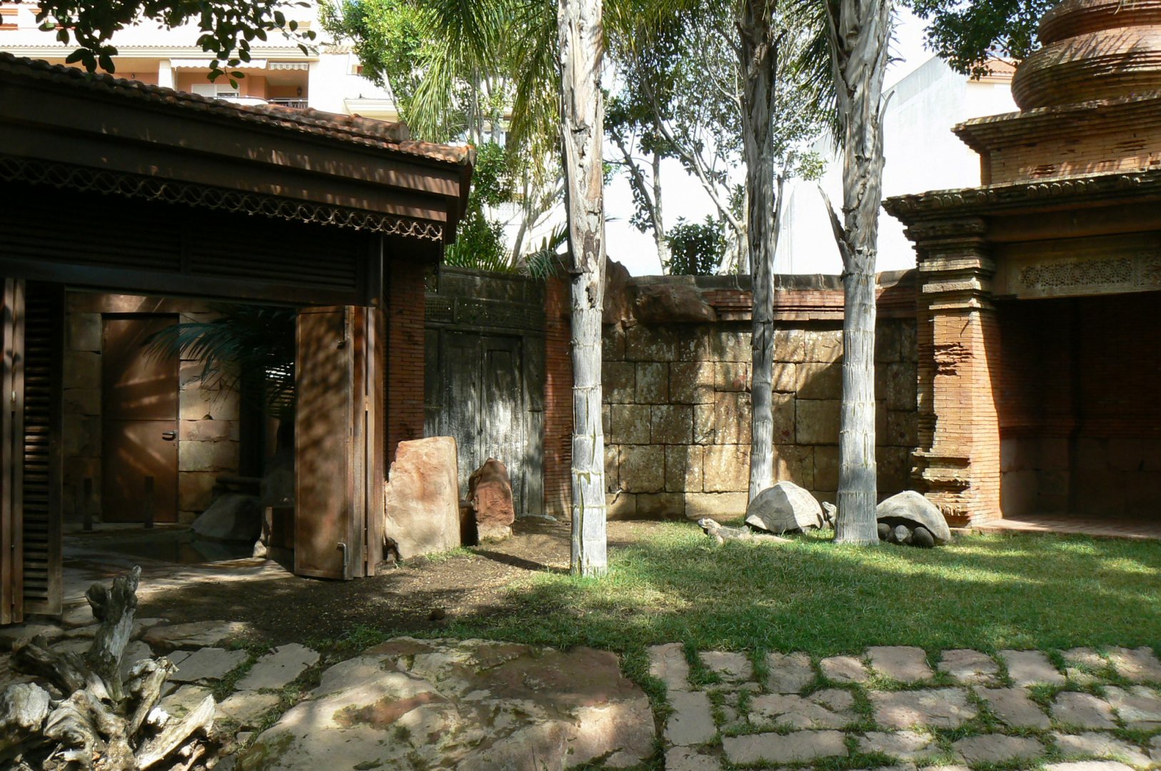 Galapagos giant tortoises and rhinoceros iguanas enclosure