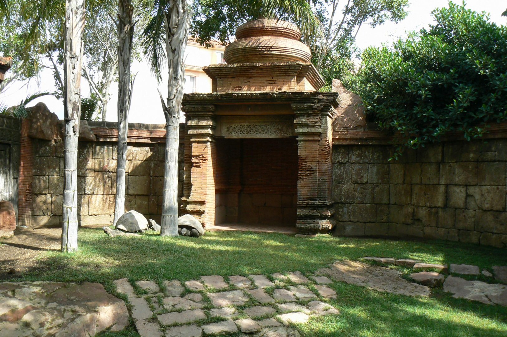 Galapagos giant tortoises and rhinoceros iguanas enclosure