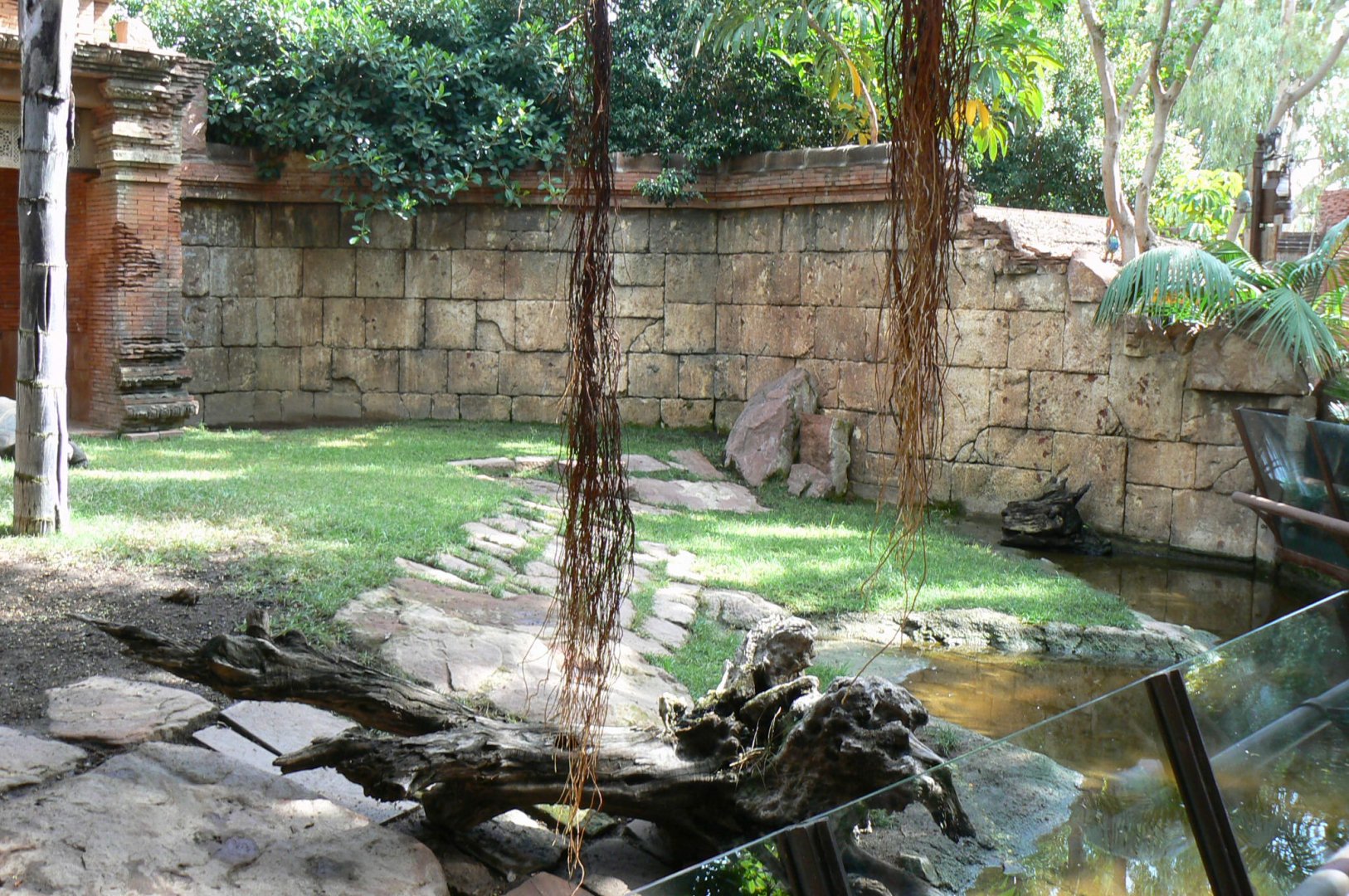 Galapagos giant tortoises and rhinoceros iguanas enclosure