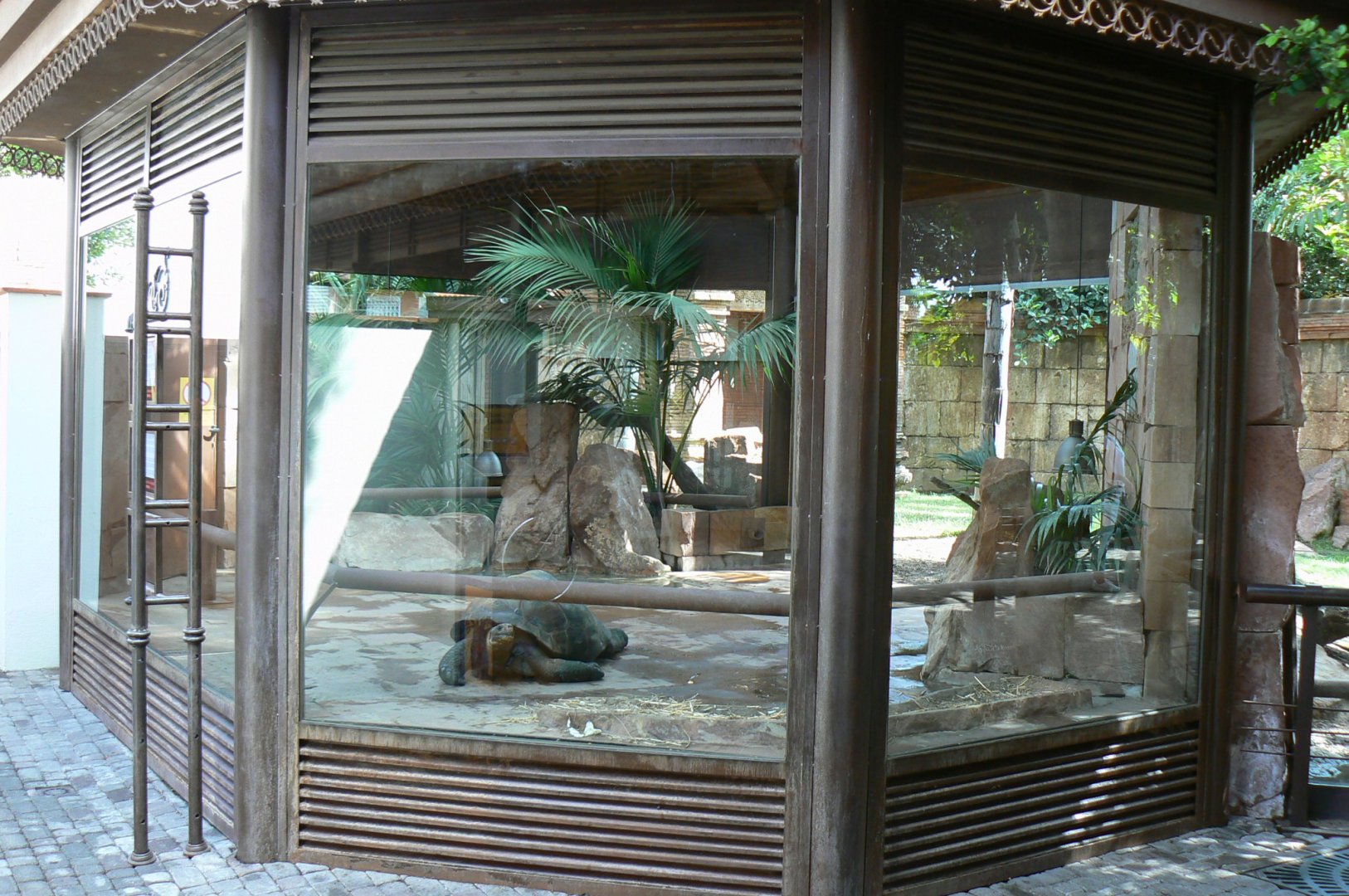 Galapagos giant tortoises and rhinoceros iguanas house