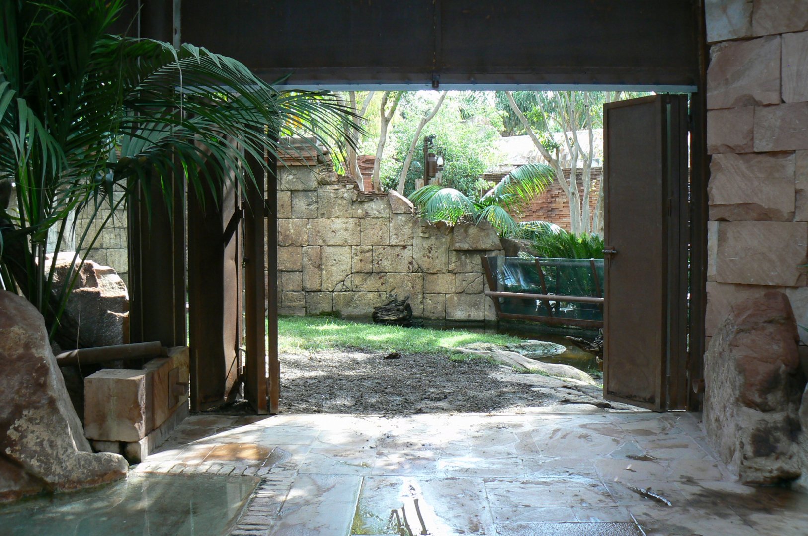 Galapagos giant tortoises and rhinoceros iguanas house