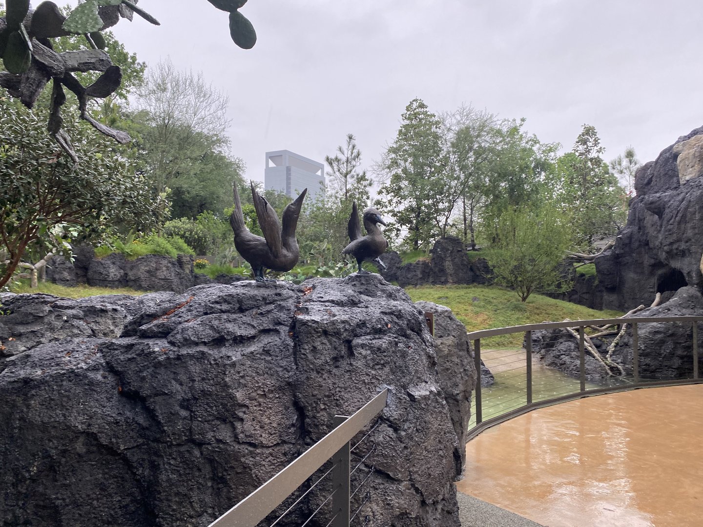 Galápagos Islands- Blue Footed Booby Sculptures