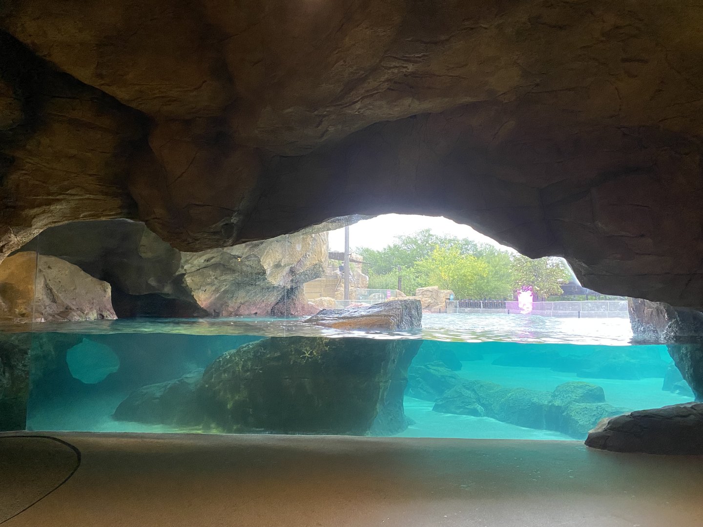 Galápagos Islands- California Sea Lion Enclosure