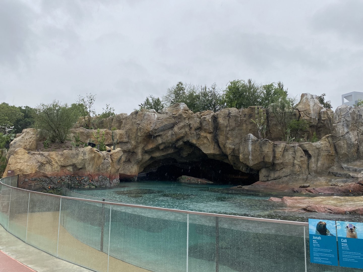Galápagos Islands- California Sea Lion Enclosure