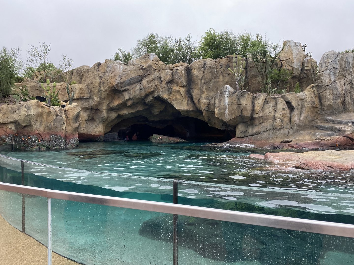 Galápagos Islands- California Sea Lion Enclosure