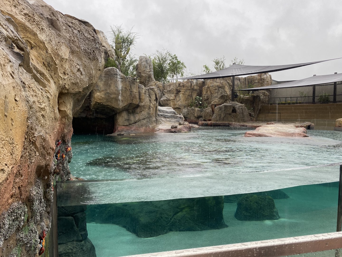 Galápagos Islands- California Sea Lion Enclosure