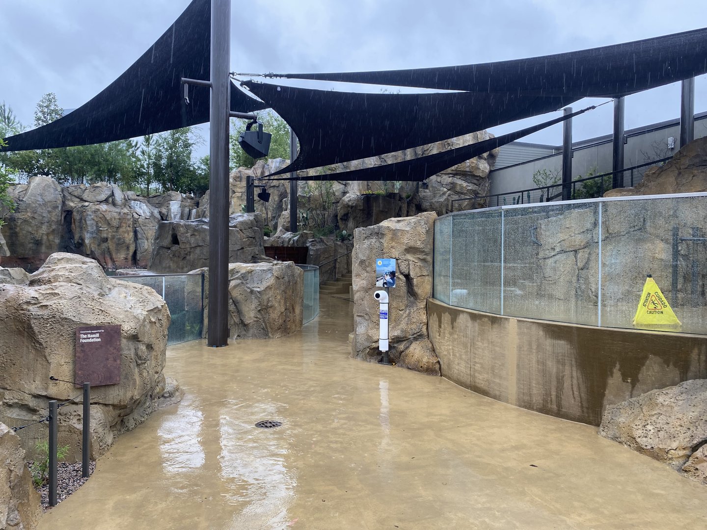 Galápagos Islands- California Sea Lion Enclosure