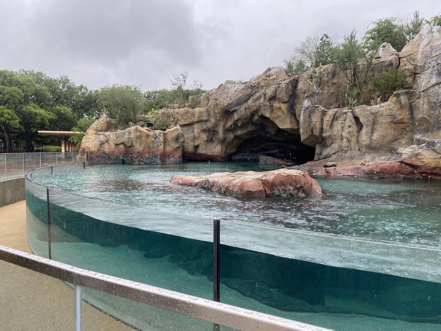 Galápagos Islands- California Sea Lion Enclosure