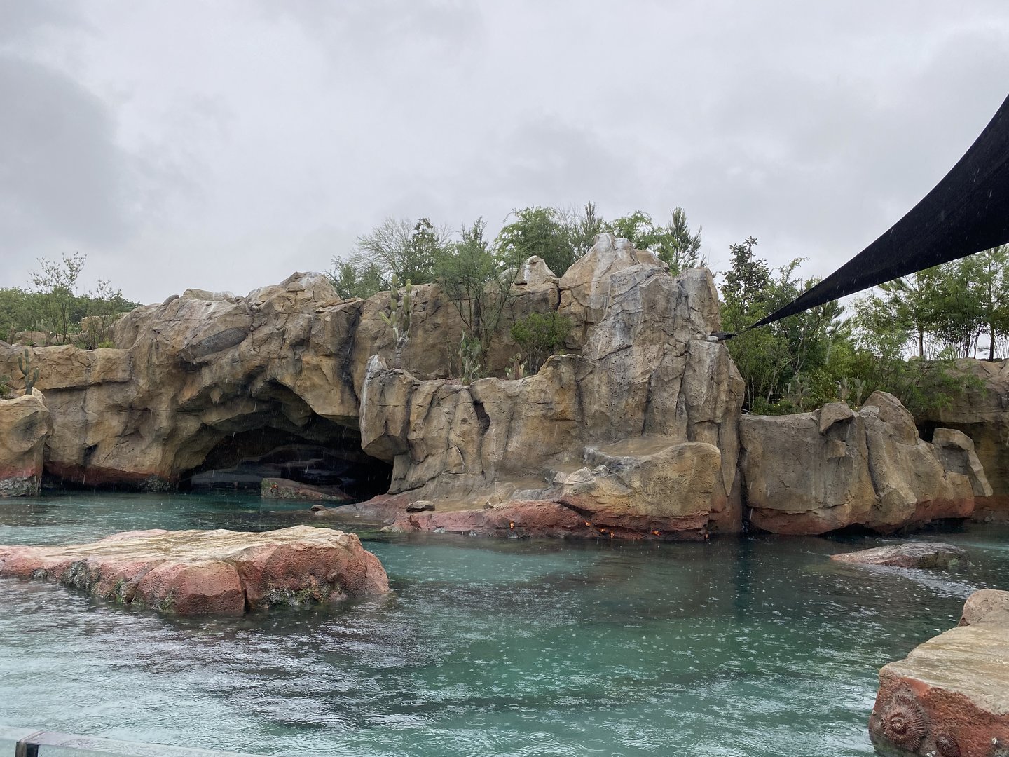 Galápagos Islands- California Sea Lion Enclosure