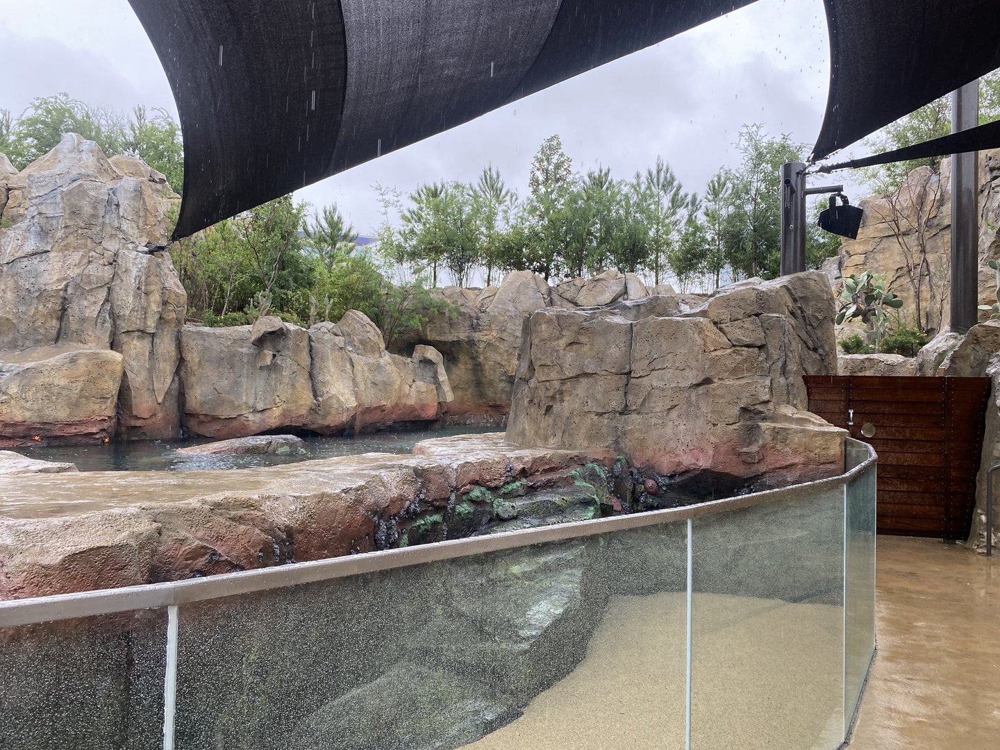 Galápagos Islands- California Sea Lion Enclosure