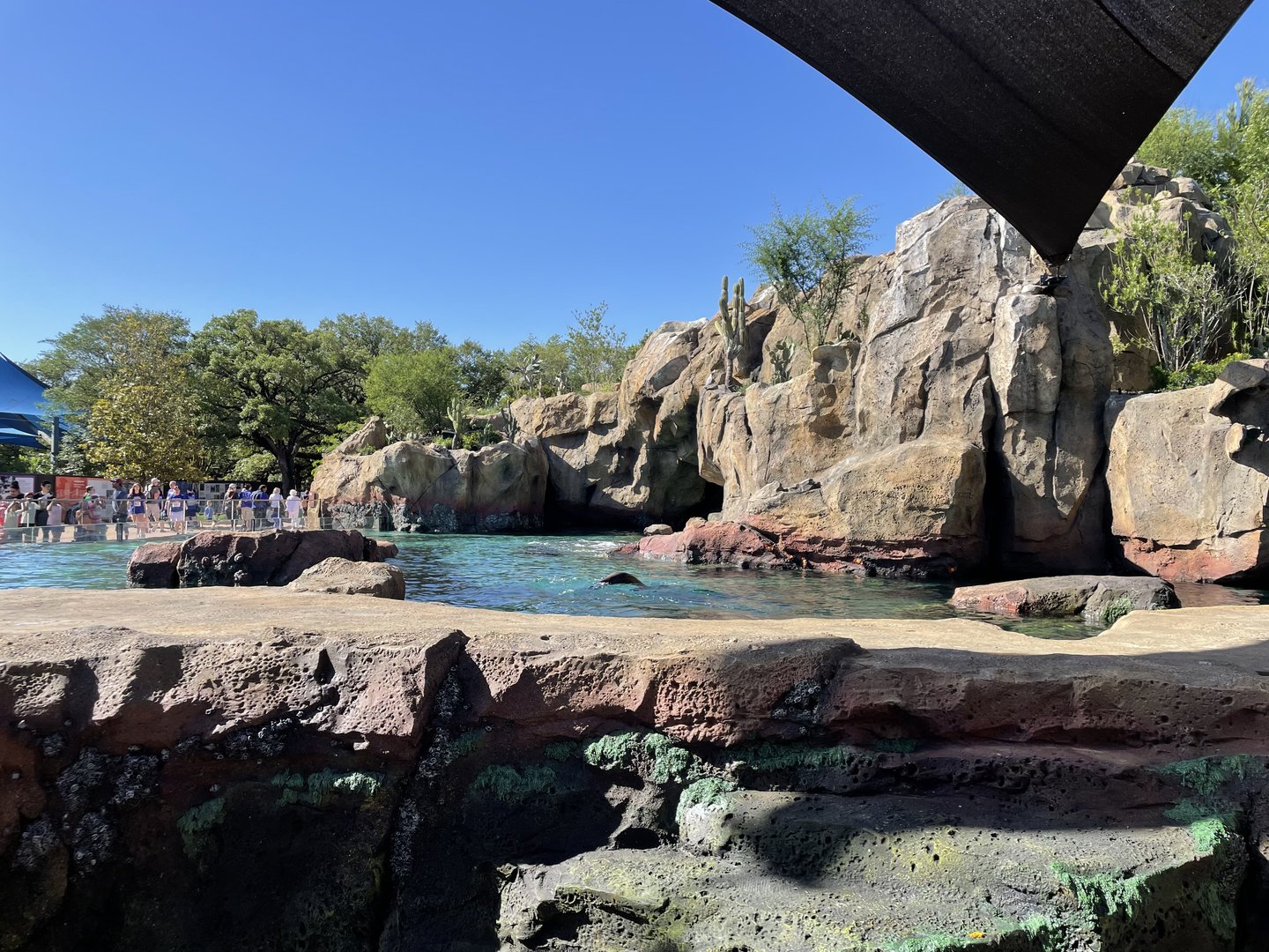 Galápagos Islands - California Sea Lion Habitat