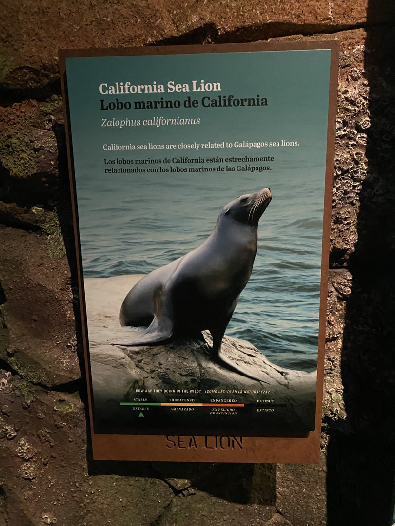 Galápagos Islands- California Sea Lion Sign