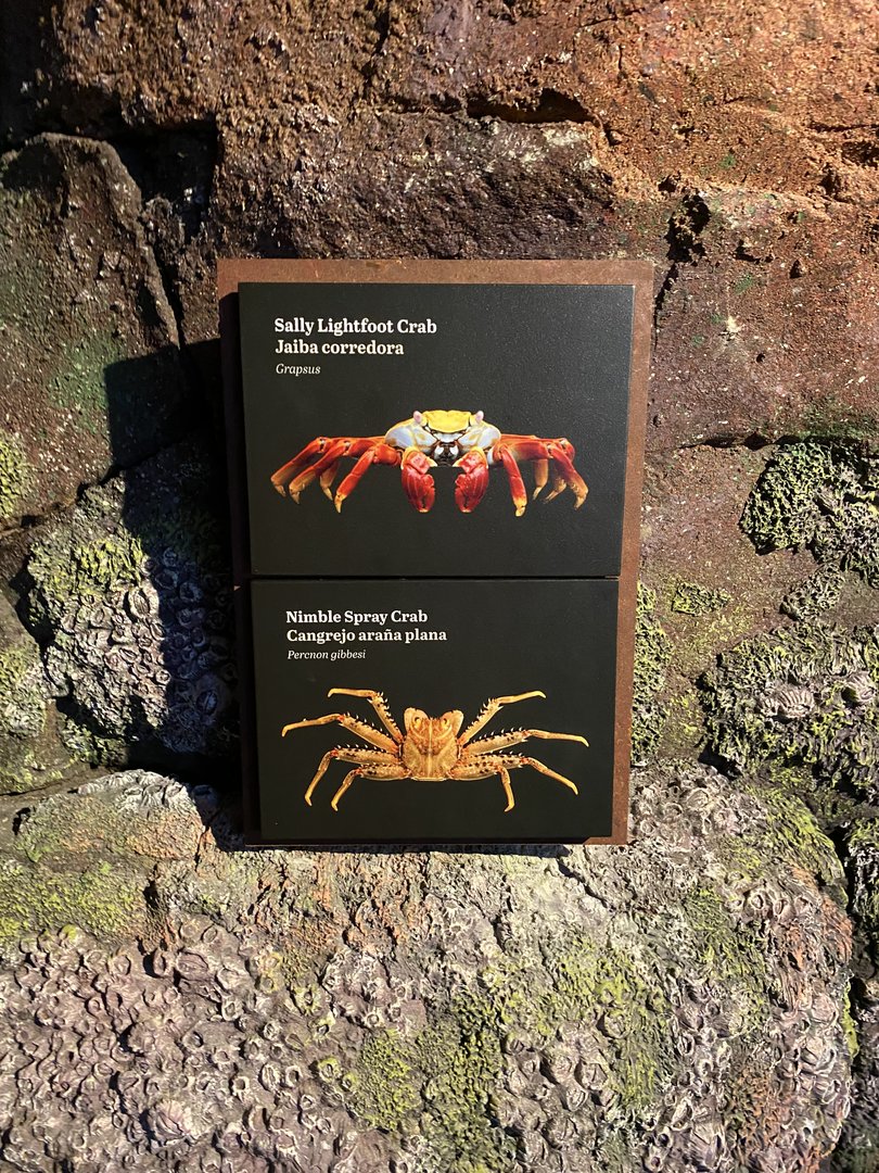 Galápagos Islands- Crab Species Sign