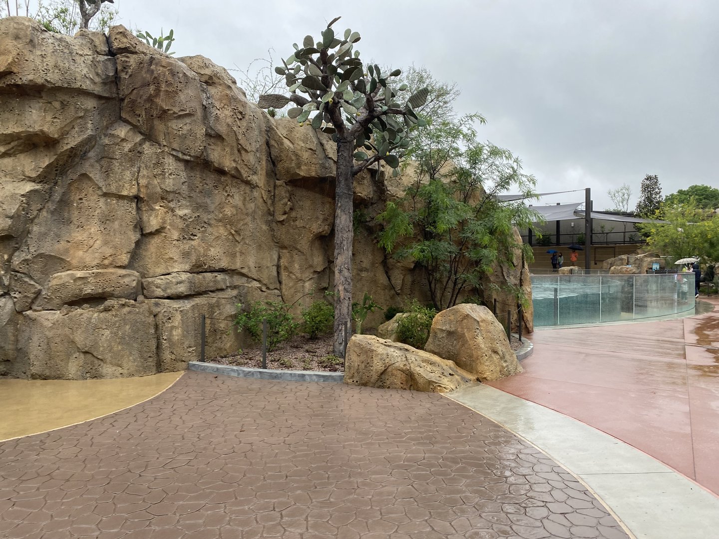 Galápagos Islands- Entrance