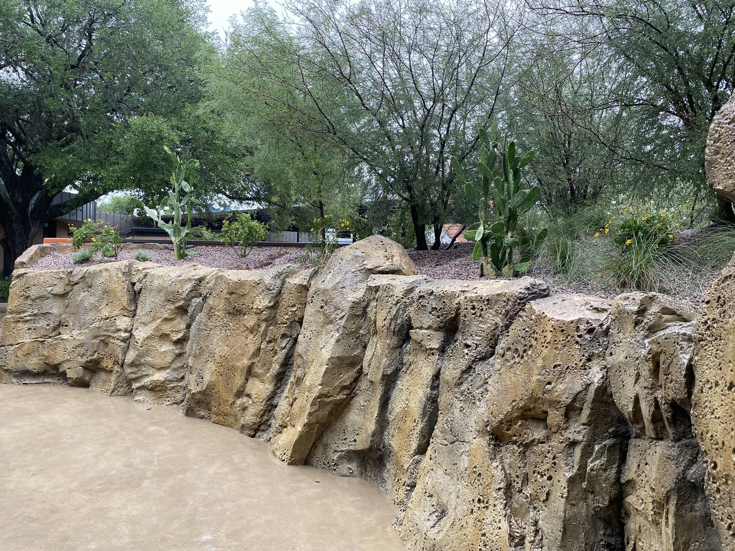 Galápagos Islands- Exit