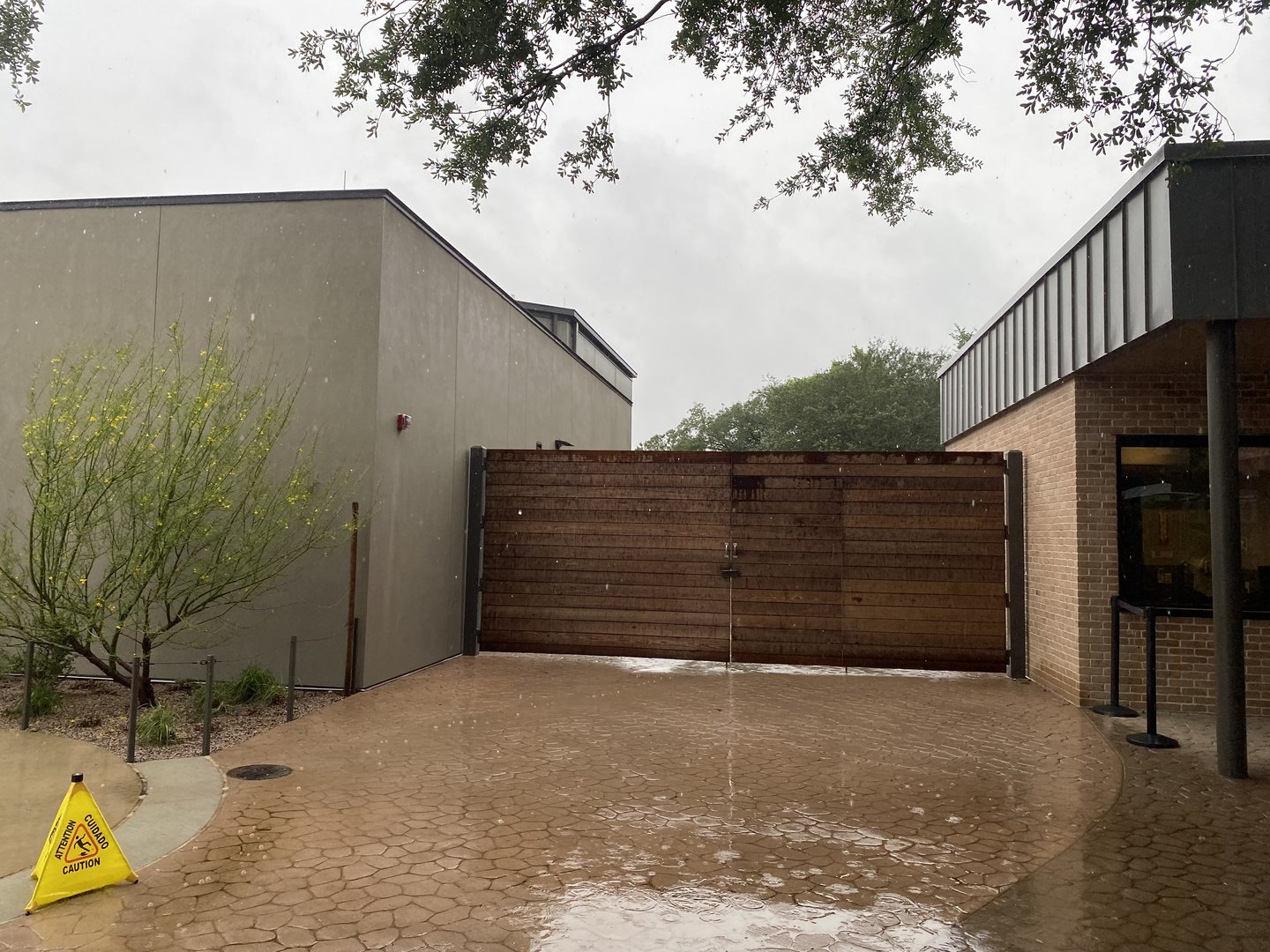 Galápagos Islands- Exit