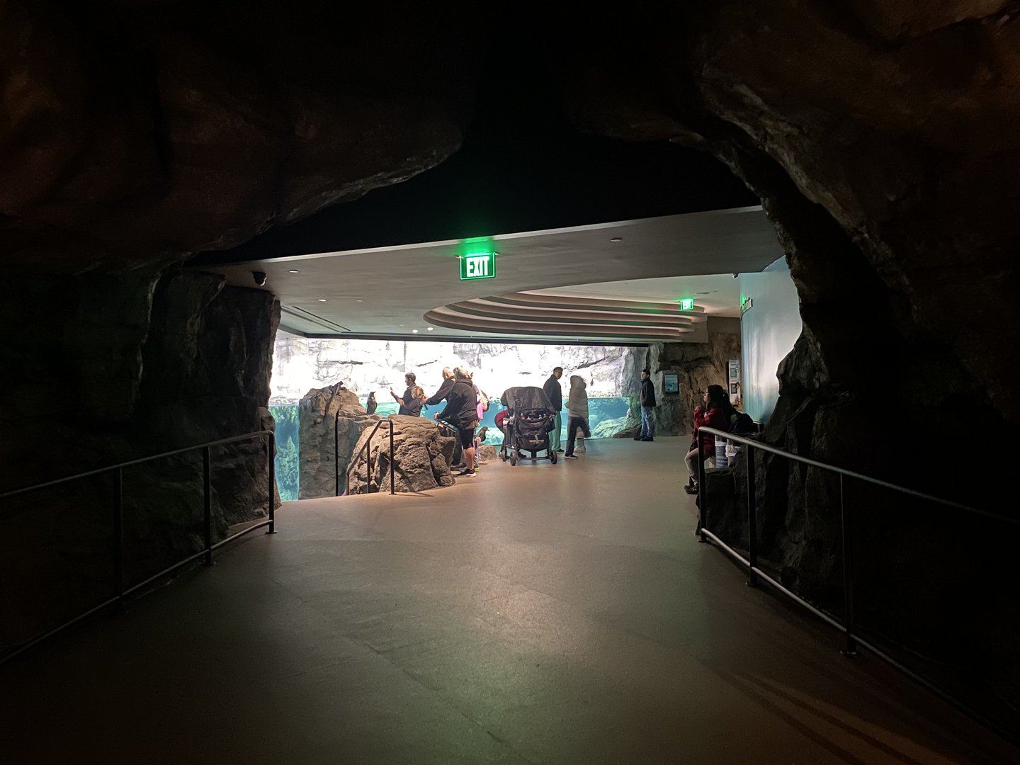 Galápagos Islands- Flightless Perfection