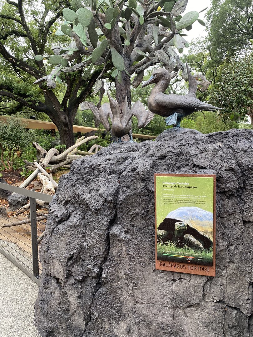 Galápagos Islands- Galapagos Tortoise Sign and Blue Footed Booby Sculptures