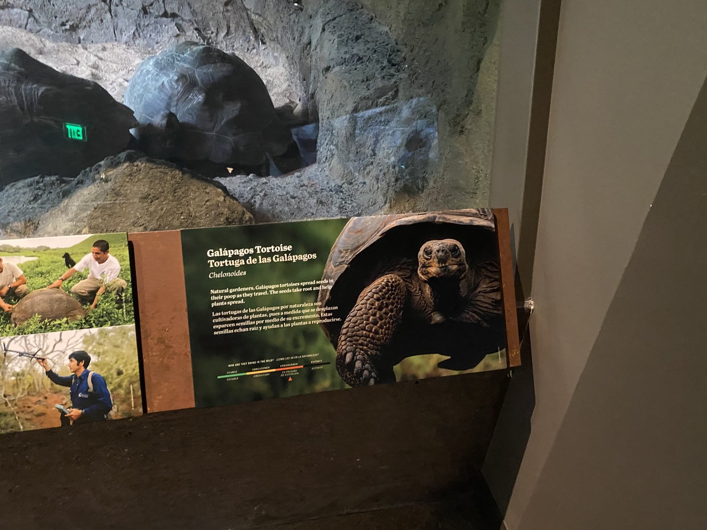 Galápagos Islands- Galapagos Tortoise Sign