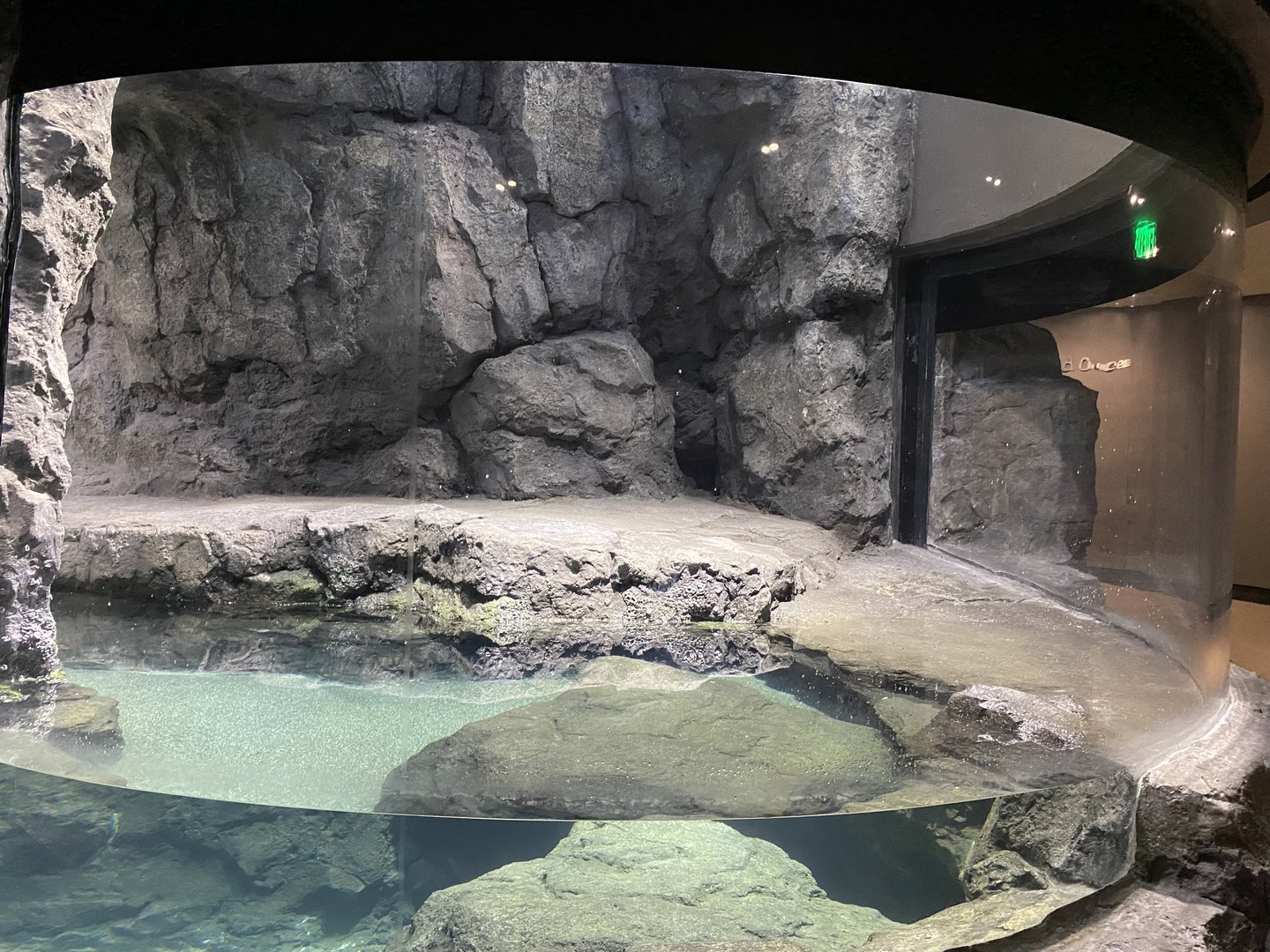 Galápagos Islands- Humboldt Penguin Enclosure