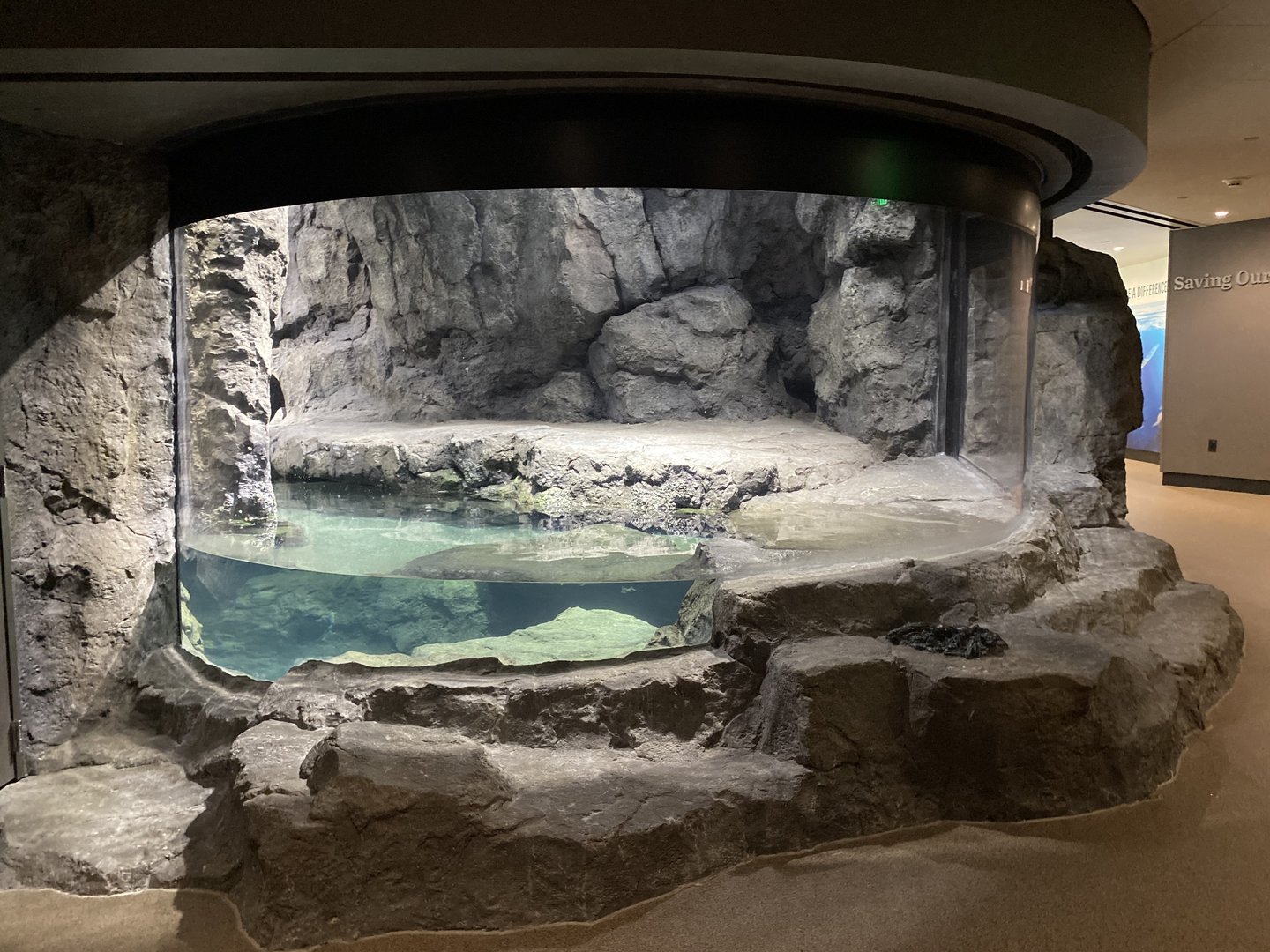 Galápagos Islands- Humboldt Penguin Enclosure