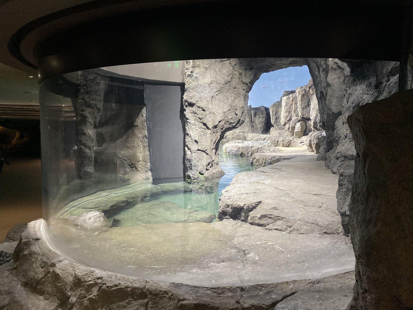 Galápagos Islands- Humboldt Penguin Enclosure