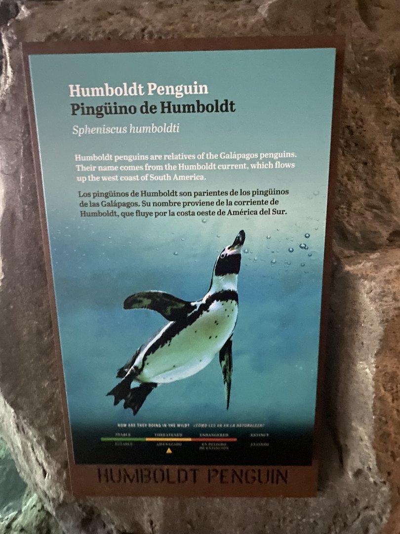 Galápagos Islands- Humboldt Penguin Sign