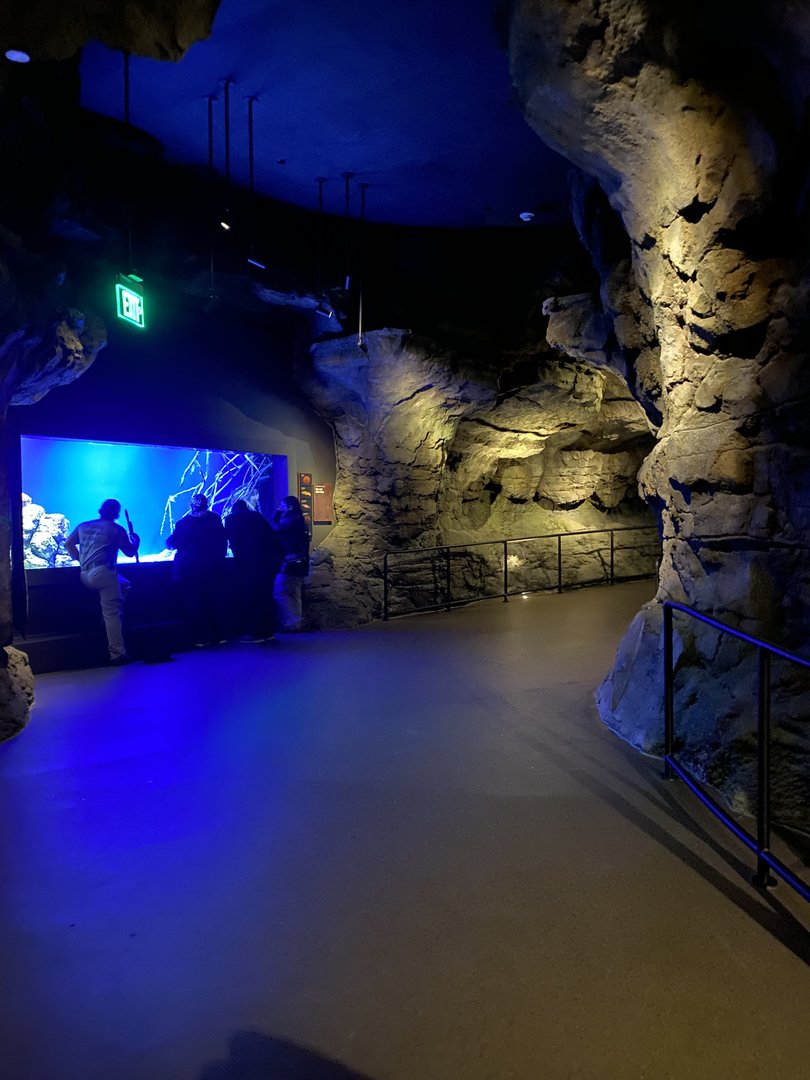 Galápagos Islands- Into the Lava Tunnel