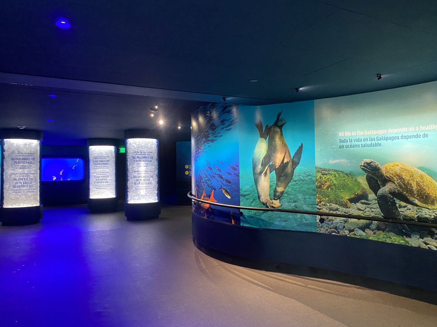 Galápagos Islands- Our Shared Ocean