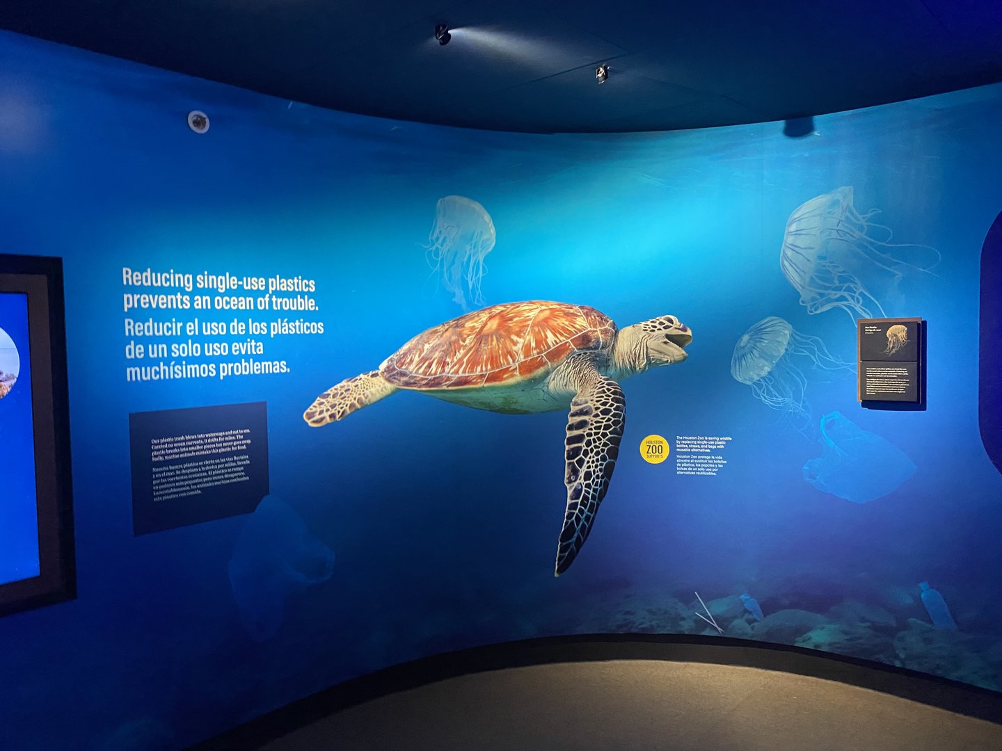 Galápagos Islands- Our Shared Ocean