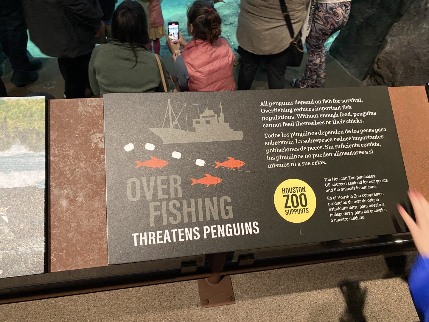 Galápagos Islands- Overfishing Sign