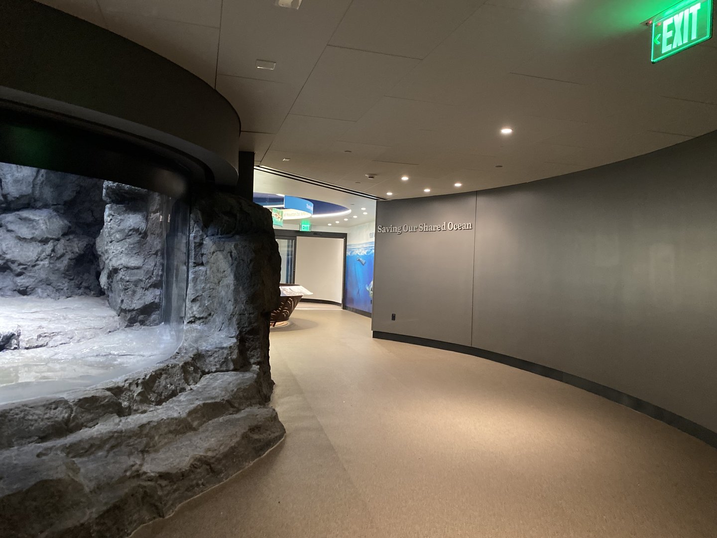 Galápagos Islands- Saving Our Shared Ocean